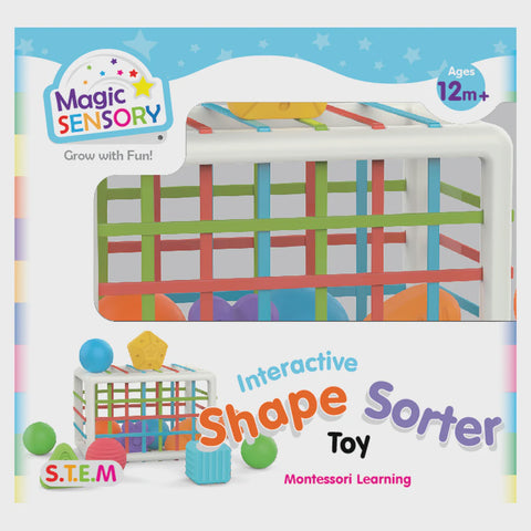 Interactive Shape Sorter 12pc